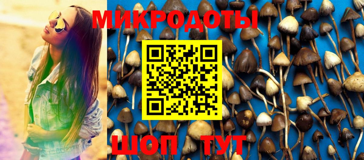 Псилоцибиновые грибы прущие грибы Бердск