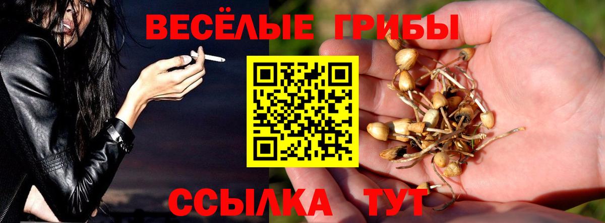Бердск  Псилоцибиновые грибы GOLDEN TEACHER  Вход с VPN  Галлюциногенные грибы мухоморы 